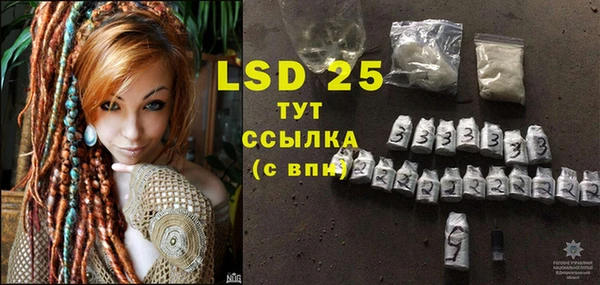 прущие грибы Иннополис
