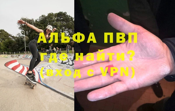 прущие грибы Иннополис
