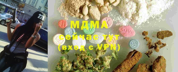 прущие грибы Иннополис