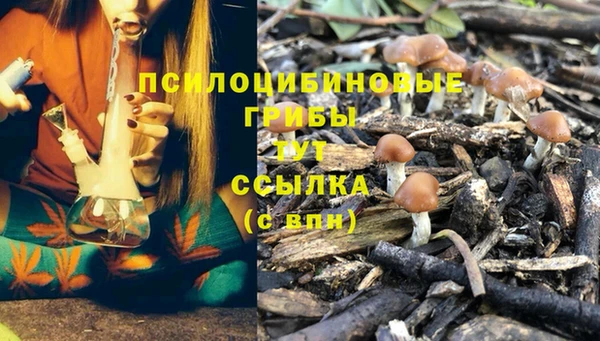 марки nbome Инта