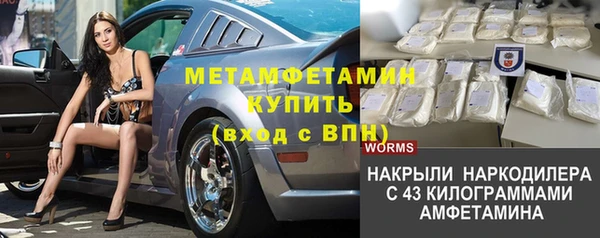 прущие грибы Иннополис