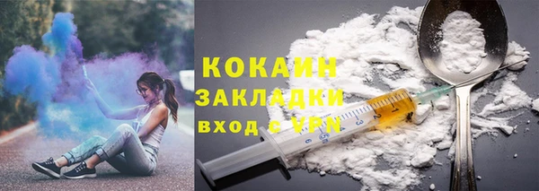 прущие грибы Иннополис